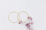 Load image into Gallery viewer, Hoop Earrings (L)
